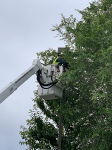 Alloway Electric Retrofit Boise Idaho Street Lighting 